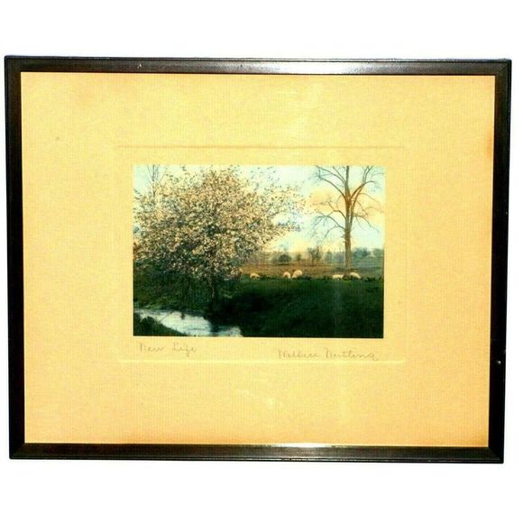 RARE-Wallace Nutting "New Life"4.0 Grading - Picture 1 of 6
